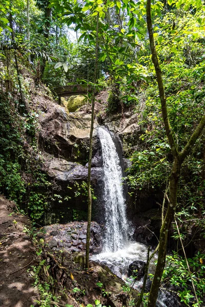 Cascada Goa Gajah Santuario Rain Forrest Ubud Bali Indonesia —  Fotos de Stock