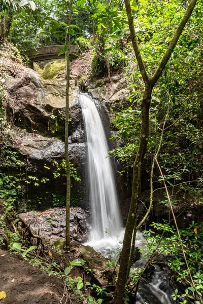 Waterfall Goa Gajah Sanctuary Rain Forrest Ubud Bali Indonesia — Stock Photo, Image