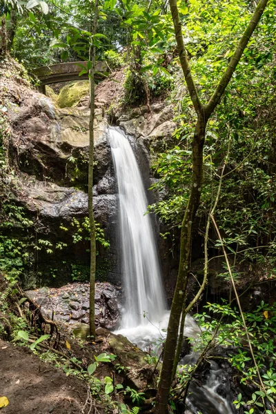 Cascada Goa Gajah Santuario Rain Forrest Ubud Bali Indonesia —  Fotos de Stock