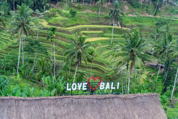 我喜欢巴厘岛的签署与稻田梯田和椰子棕榈在巴厘岛 印度尼西亚巴厘Tegallalang 2018年5月11日 — 图库照片