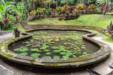 Ubud, Bali / Endonezya - 11 / 05 / 2018 Goa Gajah, veya Fil Mağarası, Endonezya 'nın Ubud yakınlarındaki Bali adasında yer alıyor..