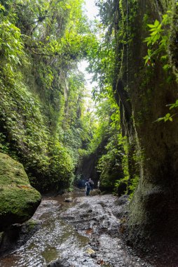 Ubud, Bali / Endonezya - 11 / 05 / 2018 Tukad Cepung Şelalesi Bangli Krallığı.