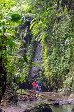 Ubud, Bali / Endonezya - 11 / 05 / 2018 Tukad Cepung Şelalesi Bangli Krallığı.