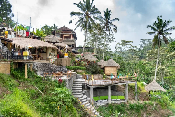 Tegallalang Bali Indonesia 2018 Terrazas Campo Arroz Con Palmeras Coco — Foto de Stock