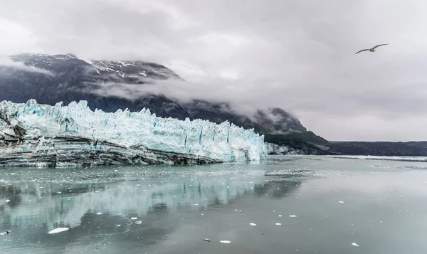 Geleira Margerie Montanhas Dia Nublado Glacier Bay Alaska — Fotografia de Stock