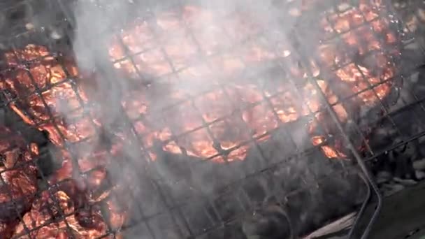 Viande Agneau Juteuse Est Grillée Sur Barbecue Charbon Bois Beaucoup — Video