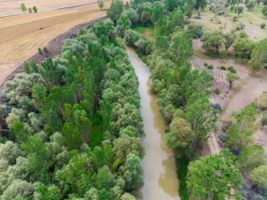 Ağaçlardan Kelkit nehrinin havadan görünüşü