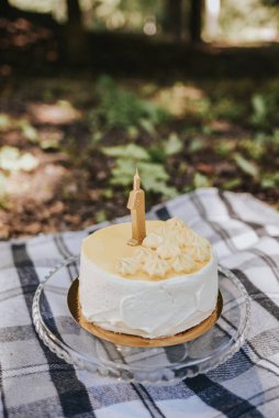 Doğumgünü pastası. Doğada 1 yaşında.