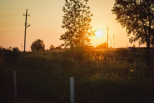 Gün batımında alan