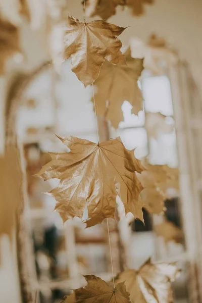 Feuille d'érable d'automne dorée sur fond beige — Photo