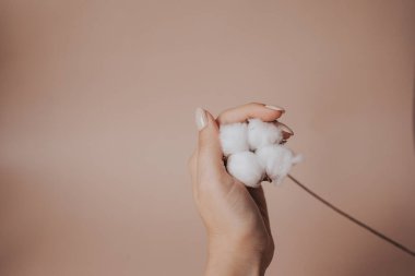 Pembe arka planda elinde pamuk çiçeği