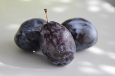 beyaz bir tablo üç Erik