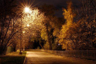 bir park yolundaki fenerler tarafından yaktı