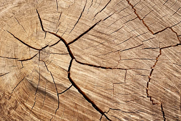 Doğal ahşap yüzeyler