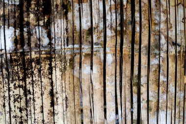 Bambu dokusu ve arkaplan