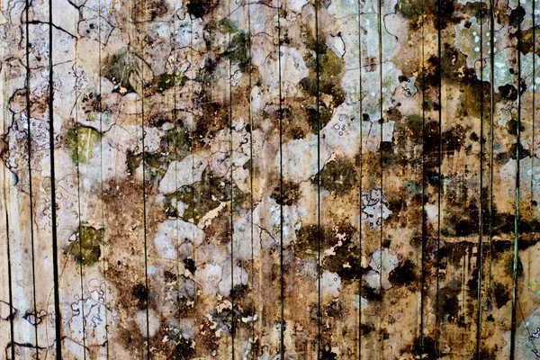 Bambu dokusu ve arkaplan