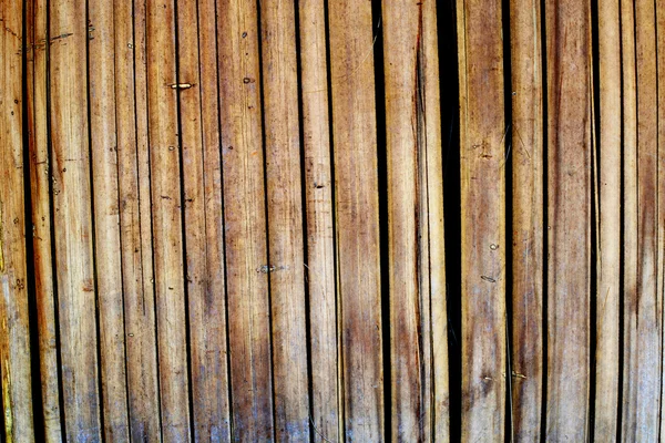 Textura de bambu e fundo — Fotografia de Stock