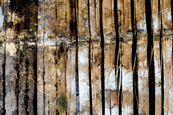 Bambu dokusu ve arkaplan