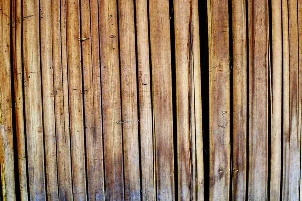 Bamboo texture and background — Stock Photo, Image