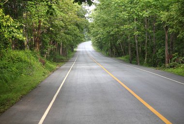 Doğa yolu ile Bahçe