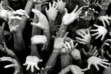 WAT Rong Khun Chiang Rai