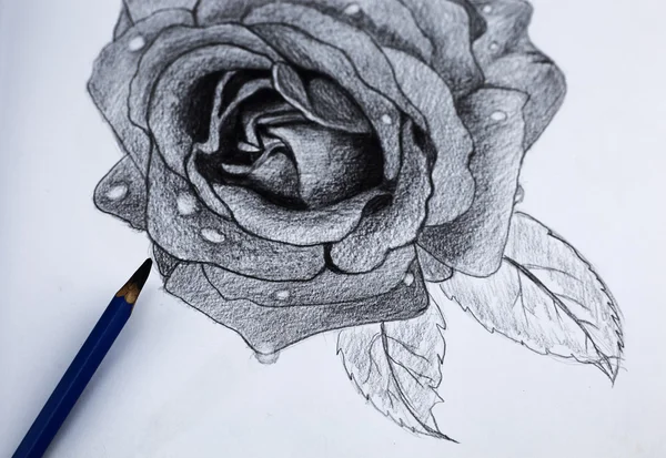 我用铅笔绘图的花 — 图库照片
