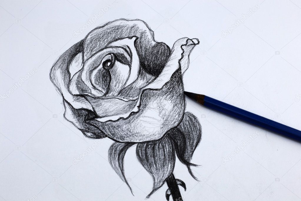 Jai Crayon Dessin De Fleurs Photographie Wongchai1972