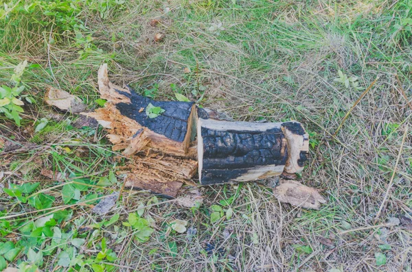 Log-and-tan y quemaduras se encuentra en el prado — Foto de Stock