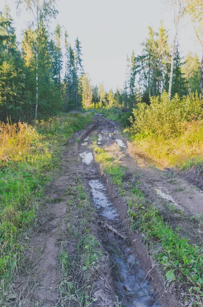 Orman kırsalında kırık çamurlu yol