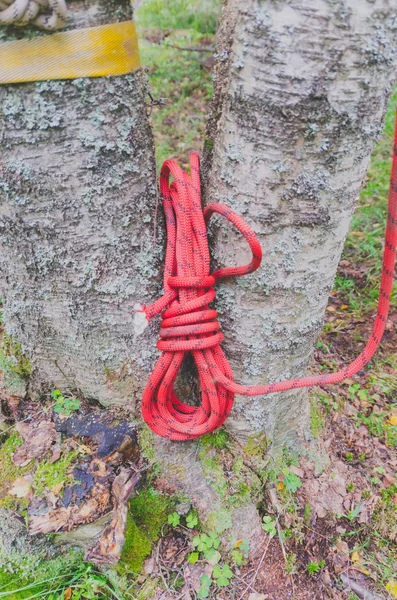 Een spoel van rood touw voor verzekering voor bos achtergrond — Stockfoto