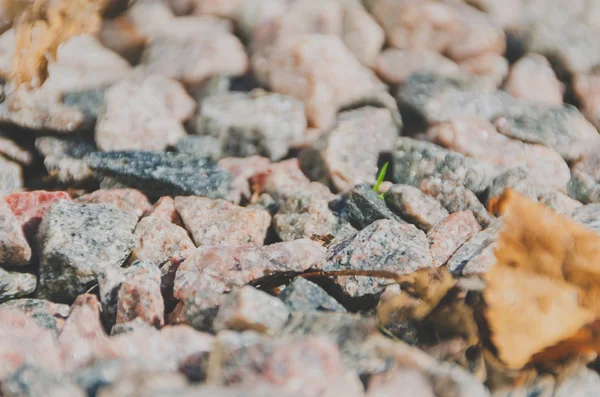 Kleine Steine Kies für Hintergrund und Textur — Stockfoto