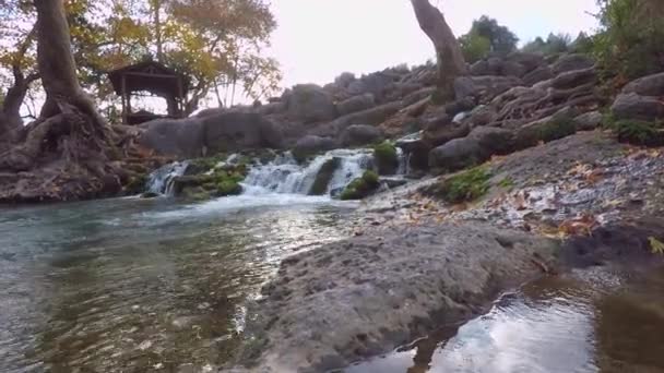 The waterfall with clear cold water among rocks and trees — Stock Video