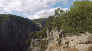 Ormanın derin kanyonu. İlk kişinin arka planı.