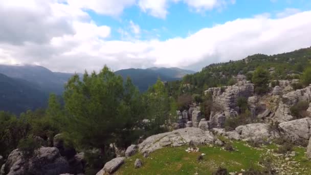 The mountain valley with shrubs and trees in autumn — Vídeo de Stock