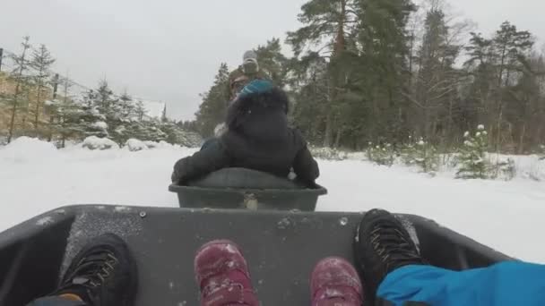 The winter a crawler tractor rides children in a sleigh through the forest — Stockvideo