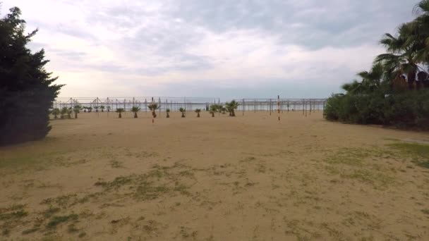 Піщаний пляж пальми і шезлонги і море без людей — стокове відео