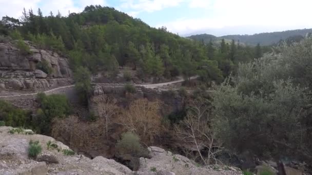 Каменный глубокий каньон с деревьями — стоковое видео