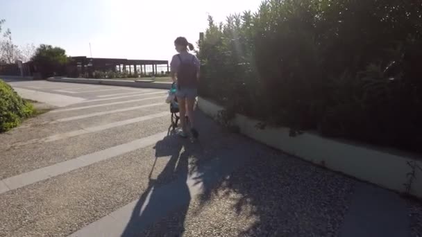 De zomerdag moeder loopt met een baby in een wandelwagen — Stockvideo