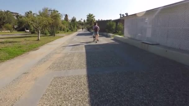 Летний день мама гуляет с ребенком в коляске — стоковое видео