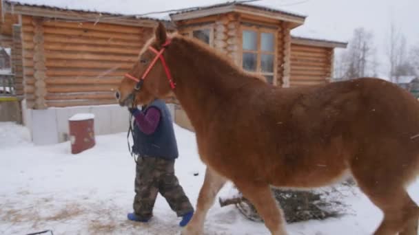 Kış çiftçisi ve at çiftliğinde yürüyor. — Stok video