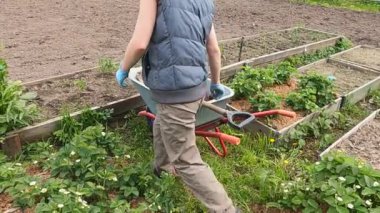 Bahçedeki el arabası ve küreği olan kız.