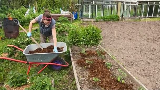 Het meisje werknemer in de tuin met een handkar en een schop — Stockvideo