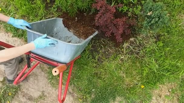Flickarbetaren i trädgården med en handvagn och en spade — Stockvideo