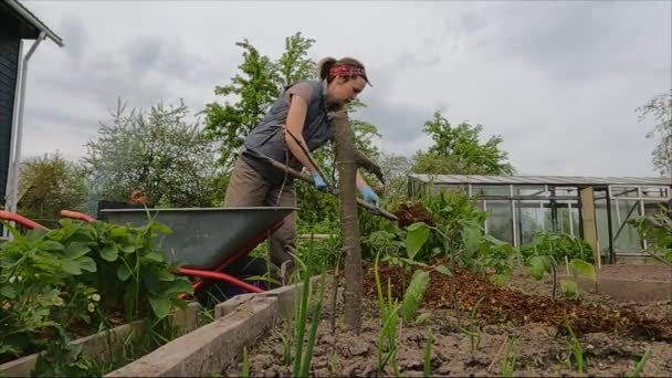 Дівчина працівник в саду з візком і лопатою — стокове відео