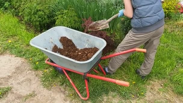 Het meisje werknemer in de tuin met een handkar en een schop — Stockvideo