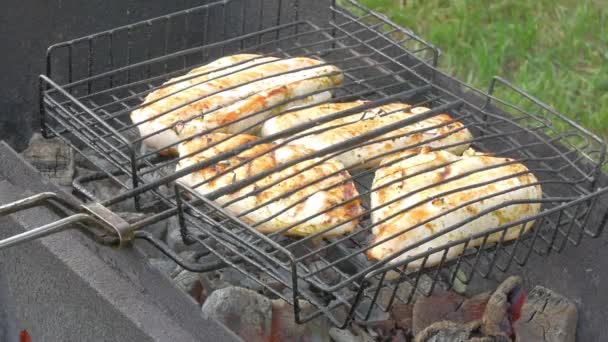 Chicken Roasting Spit Garden Grill Open Fire — Stock Video