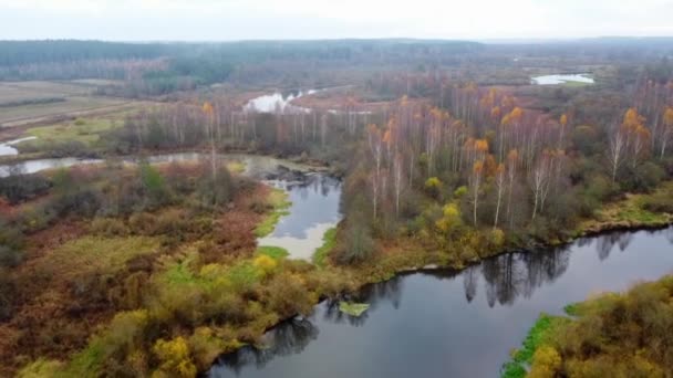 Loty Helikopterem Nad Rzeką Lasem Jesienią — Wideo stockowe