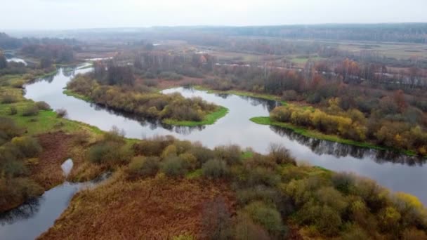 Loty Helikopterem Nad Rzeką Lasem Jesienią — Wideo stockowe