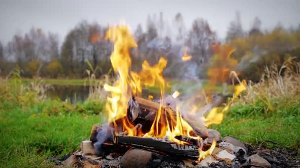 Vuur Gemaakt Van Houten Brandhout Brandwonden Bij Rivier Het Najaar — Stockvideo