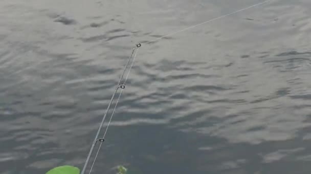 在河岸附近的钓竿上咬鱼 — 图库视频影像
